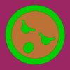 shenal303
