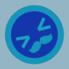 google_pi